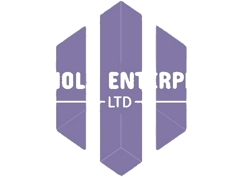 Sarinola Enterprises Ltd